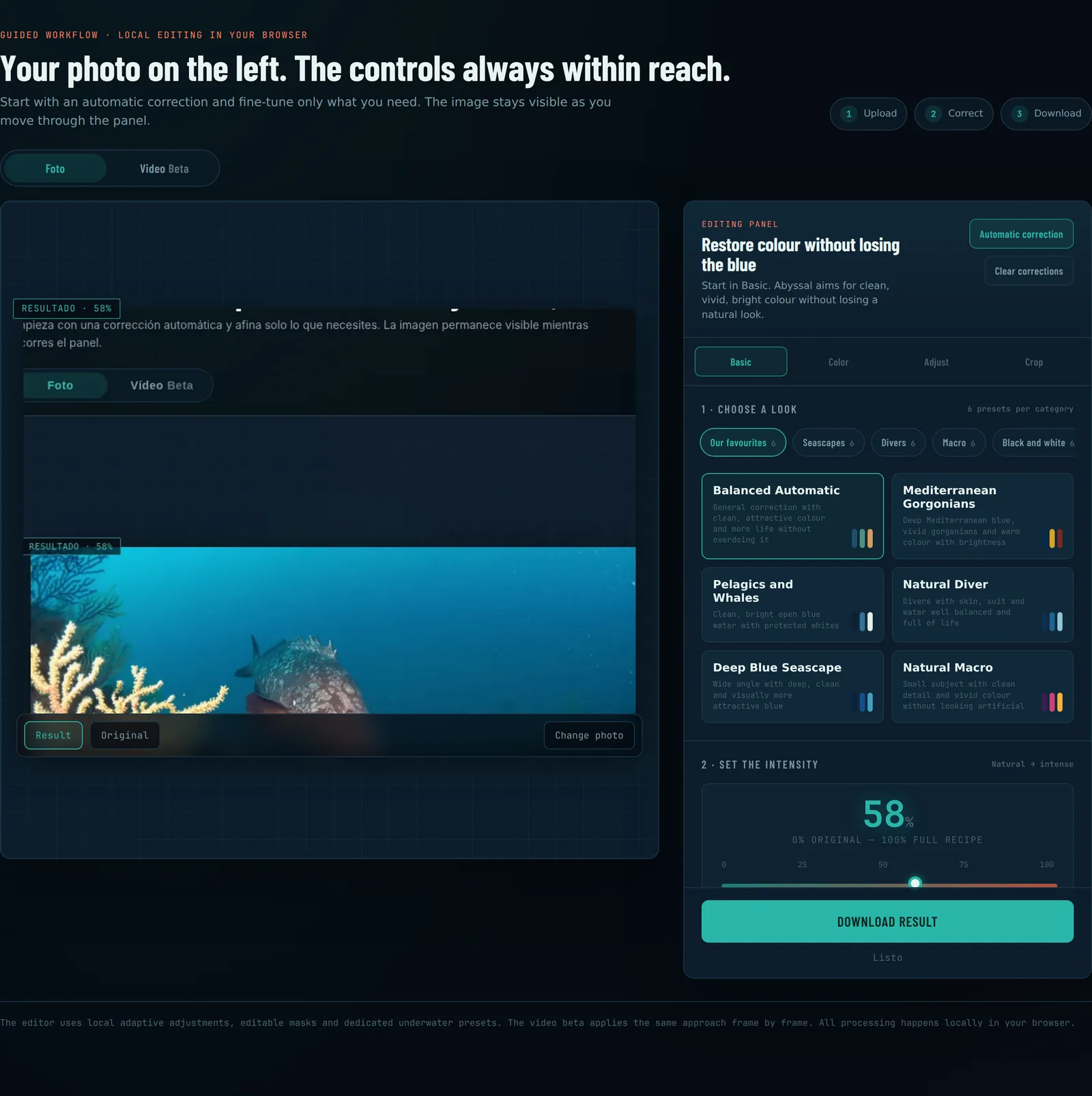 The editor with a photo loaded: viewer on the left, controls on the right