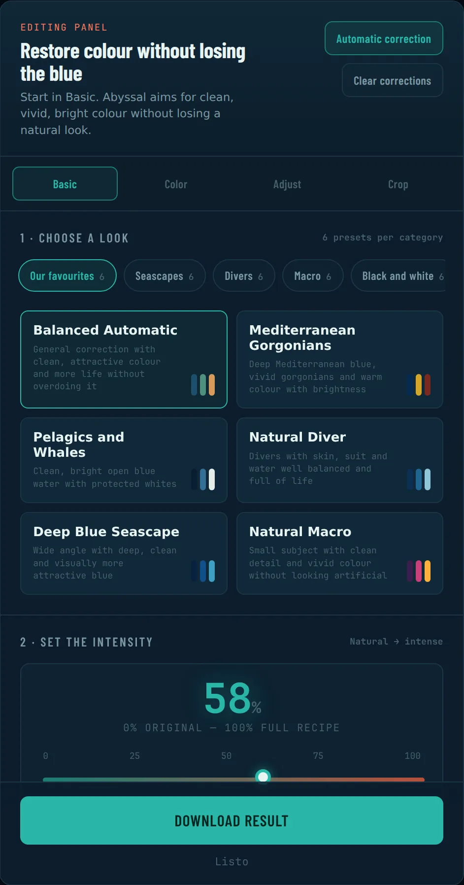 The Basic panel: preset, intensity and the fundamental adjustments