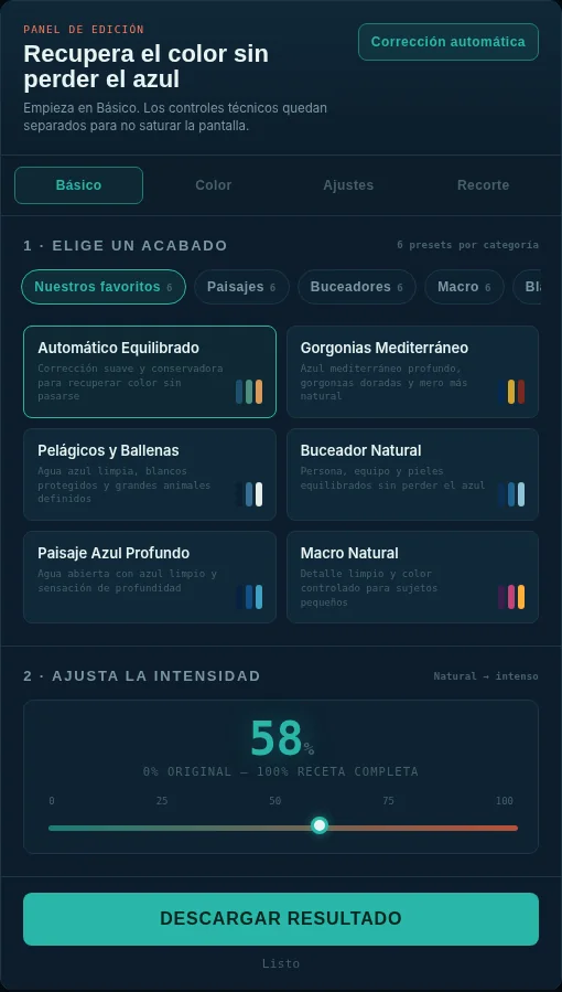 Panel Básico con categorías de presets y control de intensidad